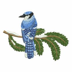 Winter Bluejay 05 machine embroidery designs