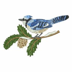 Winter Bluejay 06 machine embroidery designs