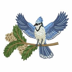 Winter Bluejay 07 machine embroidery designs