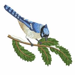 Winter Bluejay 09 machine embroidery designs