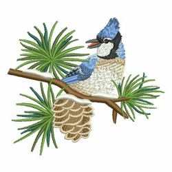 Winter Bluejay 10 machine embroidery designs