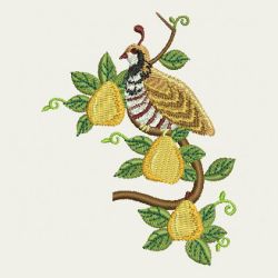 Christmas Quail 05 machine embroidery designs