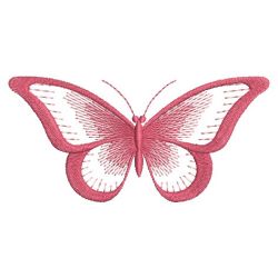 Gradient Butterfly 4 03(Sm)