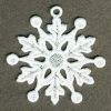 FSL Snowflakes 10