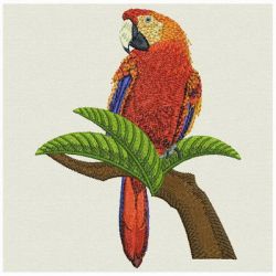Gorgeous Parrots 02 machine embroidery designs