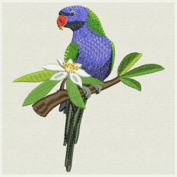 Gorgeous Parrots 03 machine embroidery designs