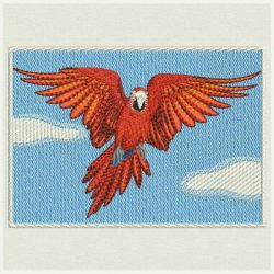 Gorgeous Parrots 04 machine embroidery designs