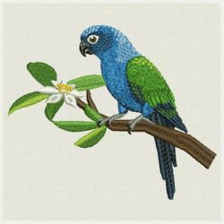 Gorgeous Parrots 07 machine embroidery designs