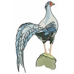 Pheasant 04 machine embroidery designs