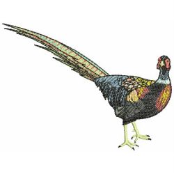 Pheasant 05 machine embroidery designs