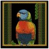 Gorgeous Parrots 05