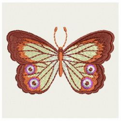 Elegant Butterflies 02