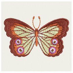 Elegant Butterflies 02