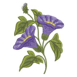 Cute Morning Glory 01 machine embroidery designs