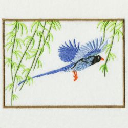 Blue Magpie 04