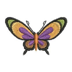 Black Edge Butterfly 11 machine embroidery designs