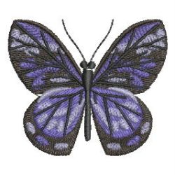 Realistic Butterfly 09 machine embroidery designs