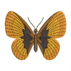 Realistic Butterfly 13 machine embroidery designs