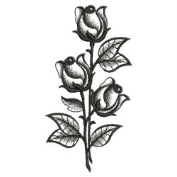 Elegant Black Rose 09(Lg)