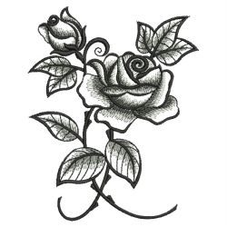 Elegant Black Rose 10(Lg)