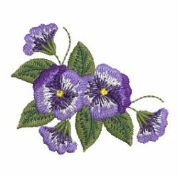 Elegant Pansy 10