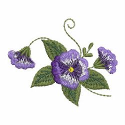 Elegant Pansy 12