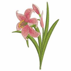 Elegant Pink Lily 02 machine embroidery designs