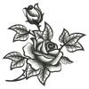 Elegant Black Rose 08(Lg)