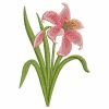 Elegant Pink Lily 01