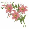 Elegant Pink Lily 07