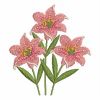 Elegant Pink Lily 08