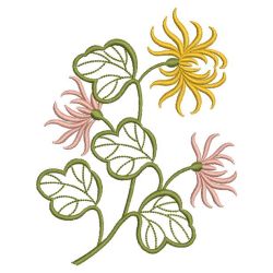Chrysanthemums 10(Sm)