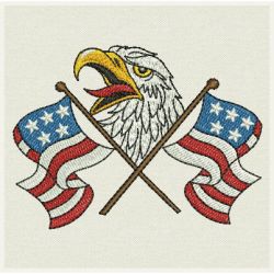 American Eagles 12 machine embroidery designs