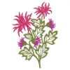 Chrysanthemums 01(Sm)