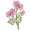 Chrysanthemums 06(Lg)