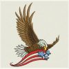 American Eagles 02