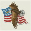 American Eagles 07