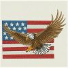 American Eagles 10