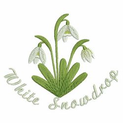 Flowers of the Month 2 02 machine embroidery designs