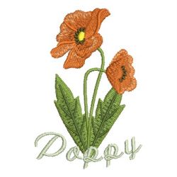 Flowers of the Month 2 12 machine embroidery designs