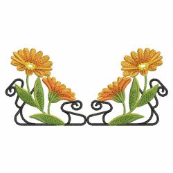 Heirloom Calendula 08