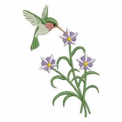 Hummingbird 05 machine embroidery designs