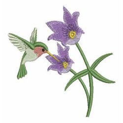 Hummingbird 06 machine embroidery designs