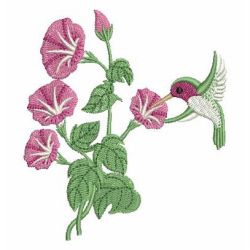 Hummingbird 08 machine embroidery designs