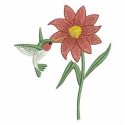 Hummingbird 10 machine embroidery designs