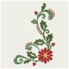 Heirloom Christmas Poinsettia Flowers 01