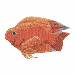 Colorful Tropical Fish machine embroidery designs