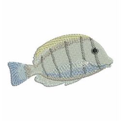 Colorful Tropical Fish 10 machine embroidery designs