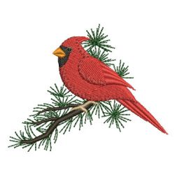 Cardinal 01 machine embroidery designs