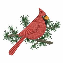 Cardinal 05